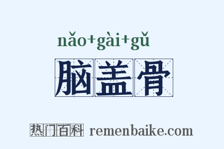 脑盖骨是什么意思的图片